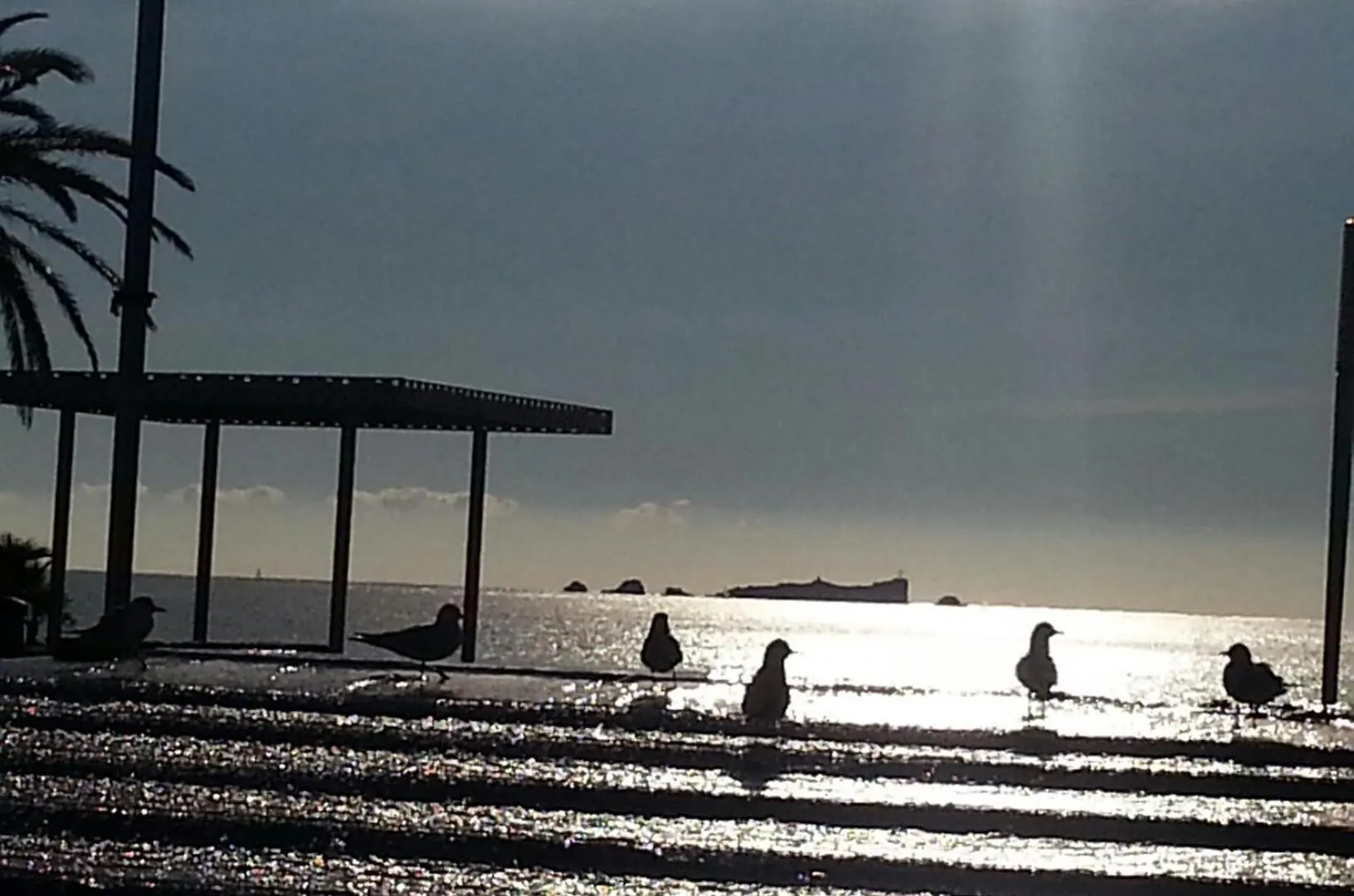 T2 Frejus Plage Vue Mer 0*,  France